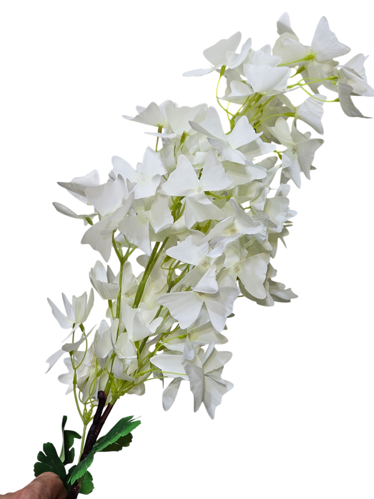 لقی گوڵەکان