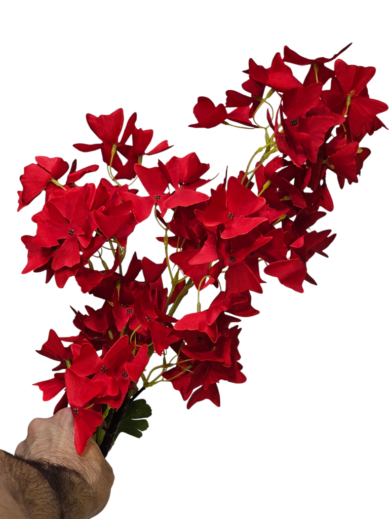 لقی گوڵەکان