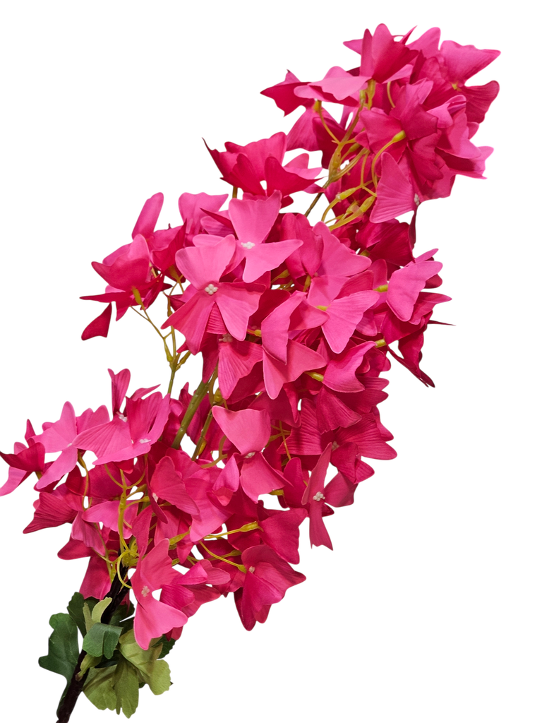 لقی گوڵەکان