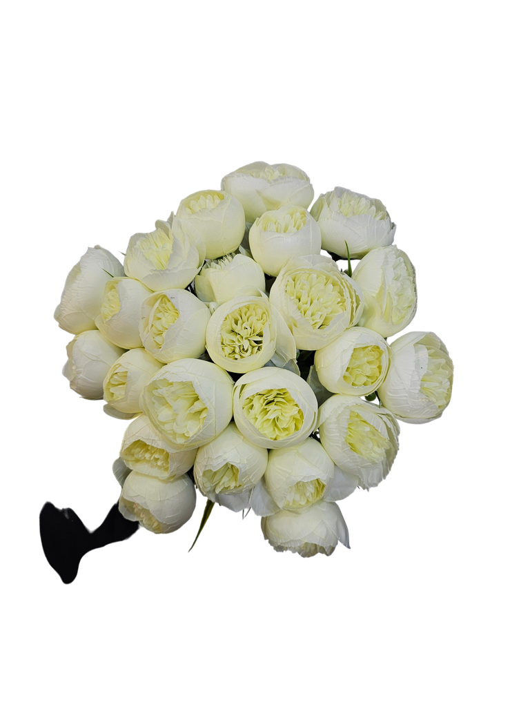 گوڵی پیۆنی سپی