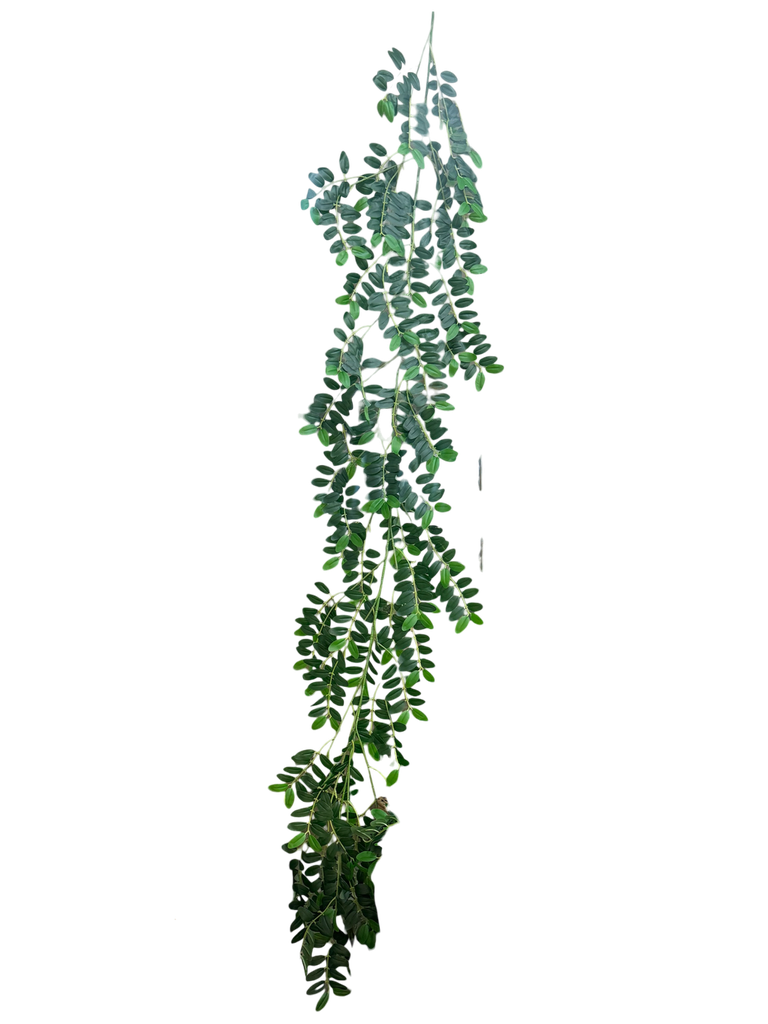 180 cm leaves