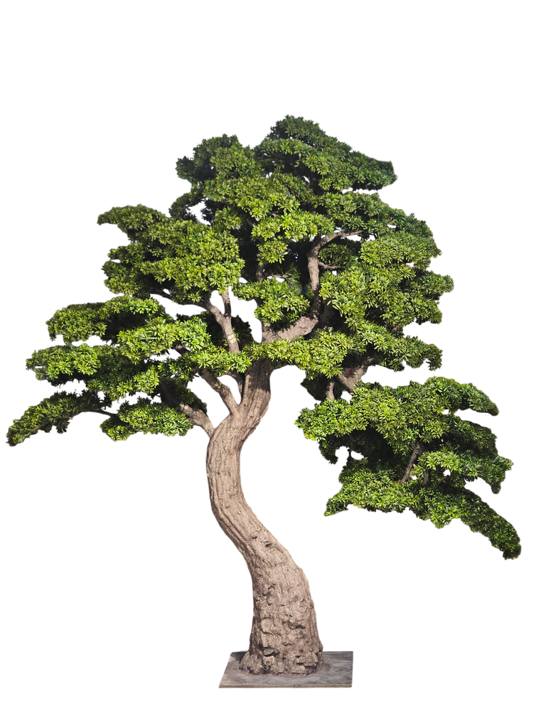 درەختی بۆنسای