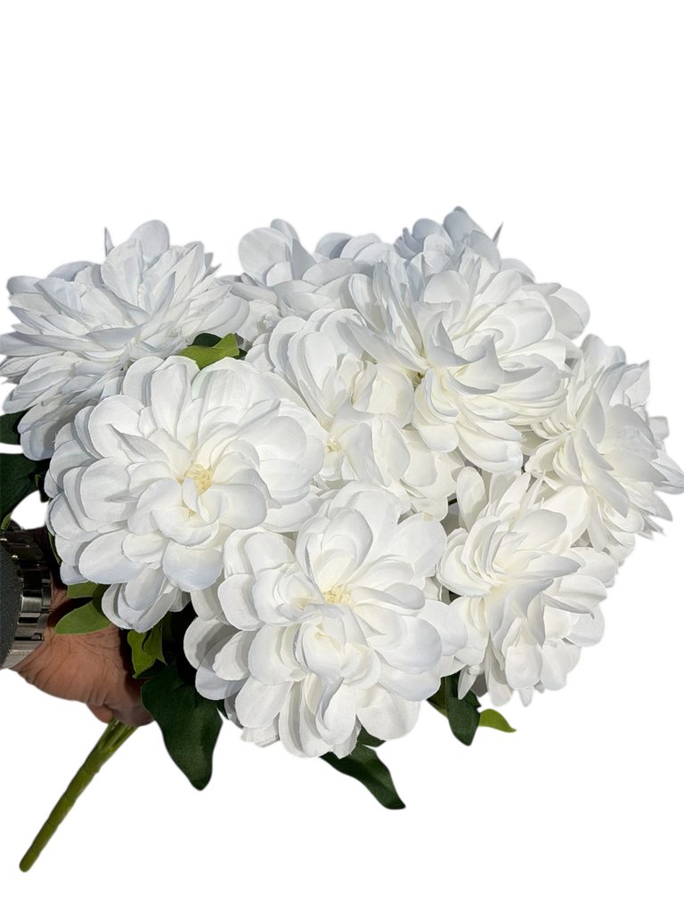 گوڵی جەربێرای سپی