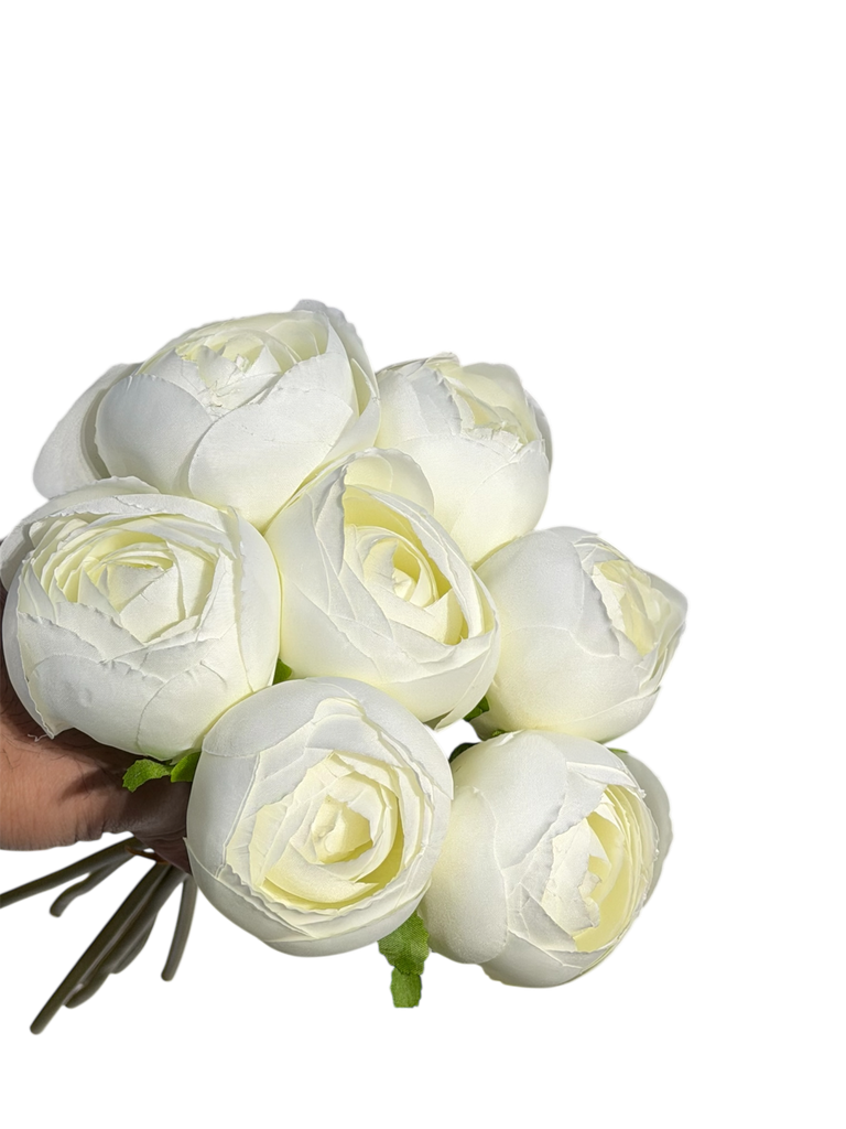 الفاوانيا البيضاء