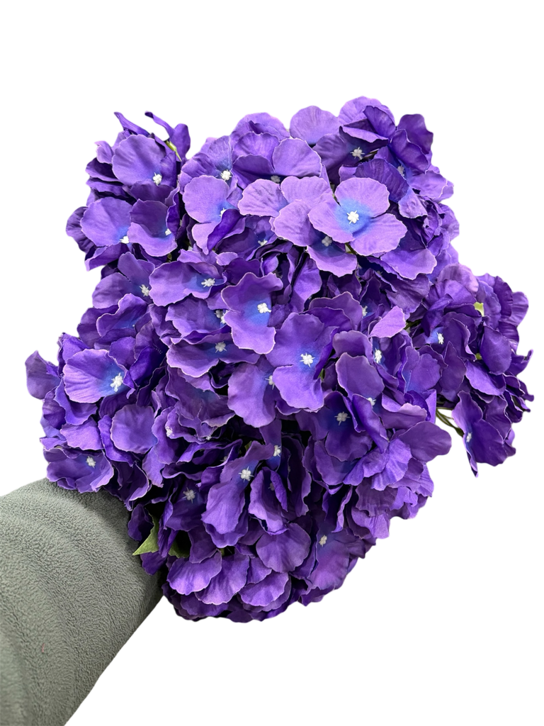 Purple hydrangea