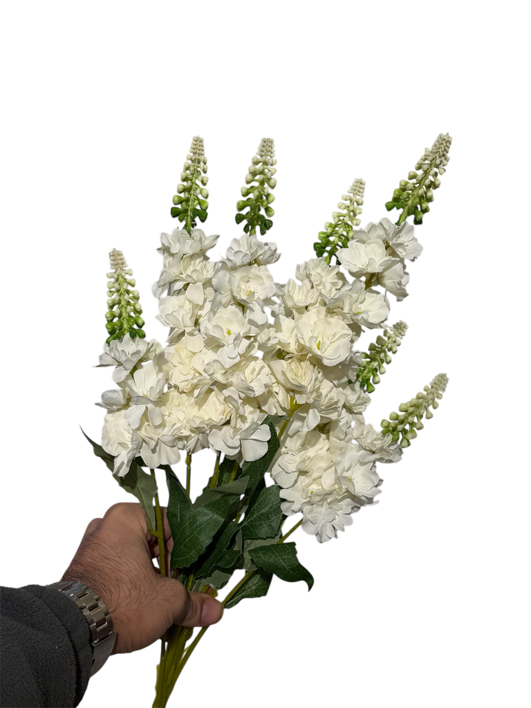 زهرة الوستارية