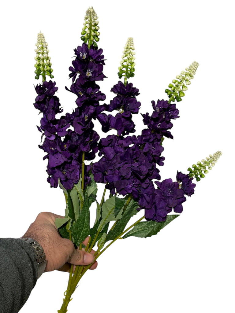 گوڵی ویستریا