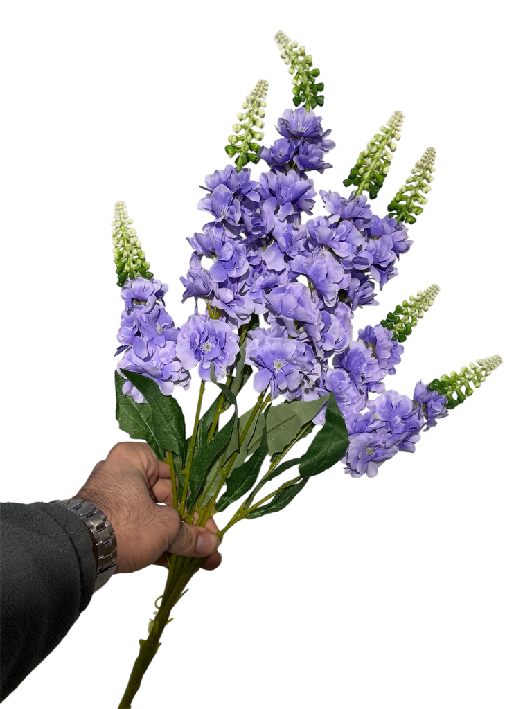 زهرة الوستارية