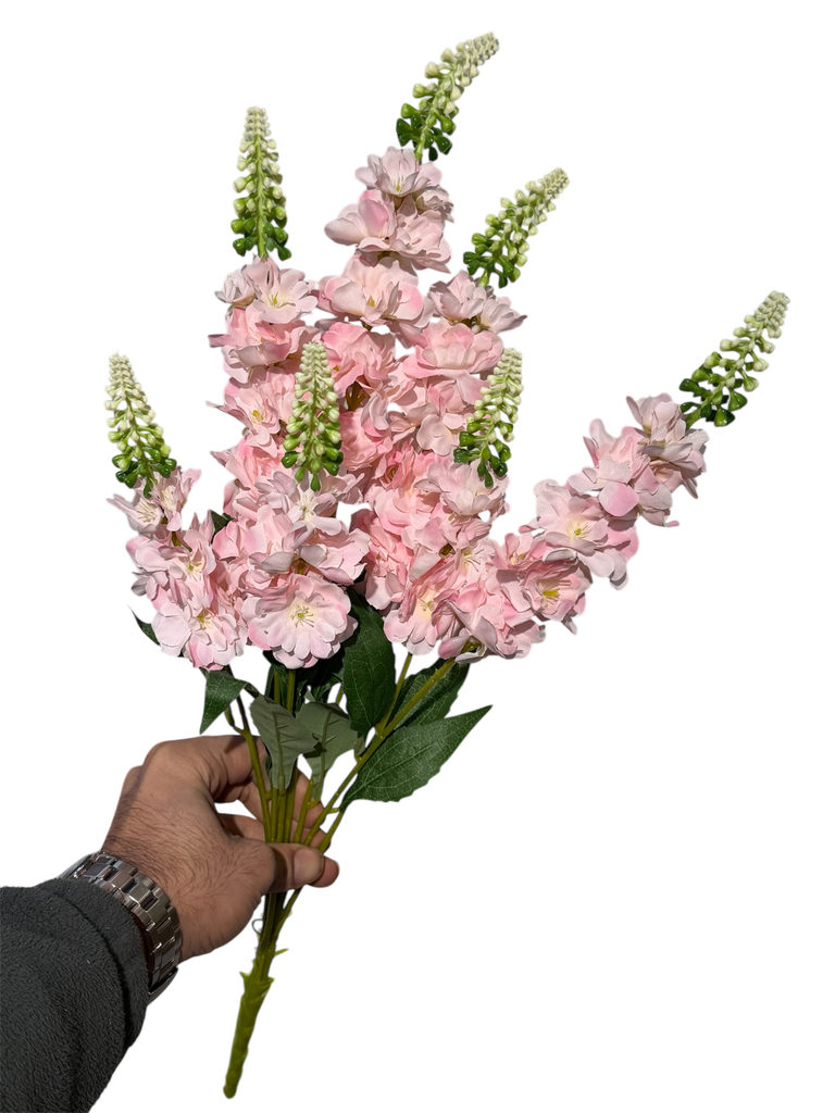 زهرة الوستارية