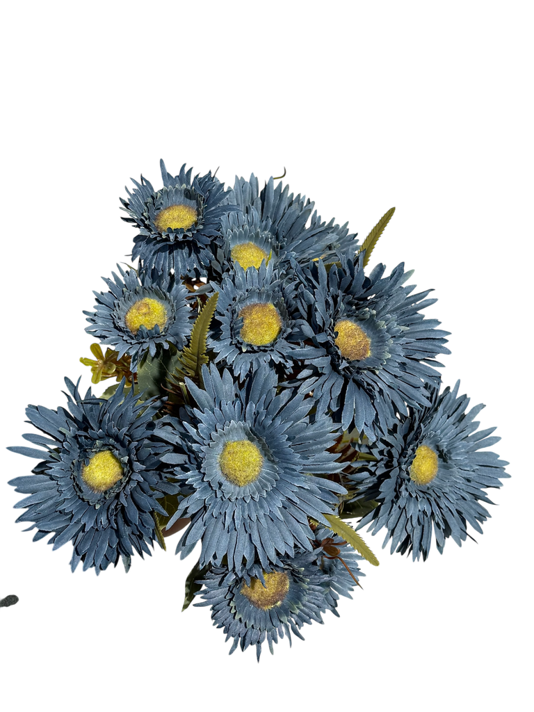 Daisy blue