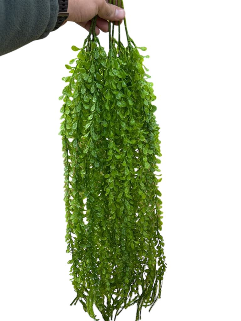 leaves