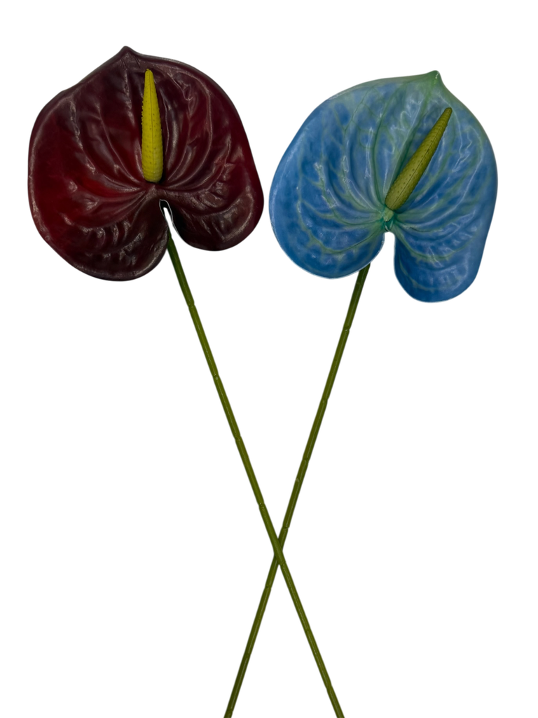 ئەنثریوم