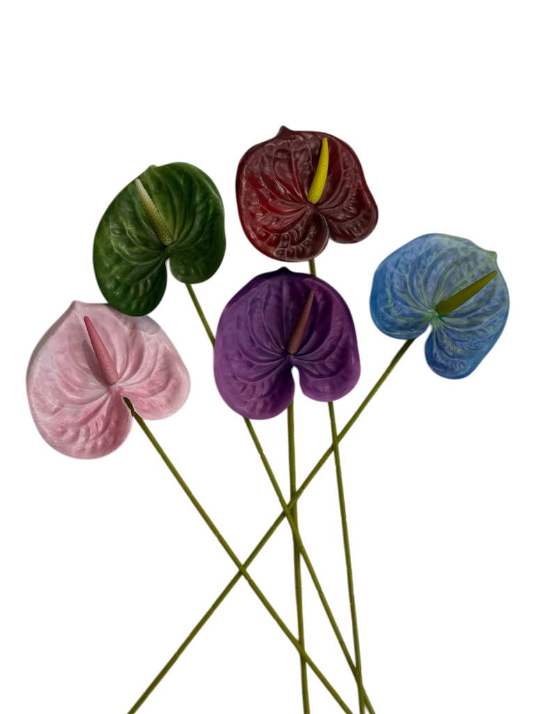 ئەنثریوم