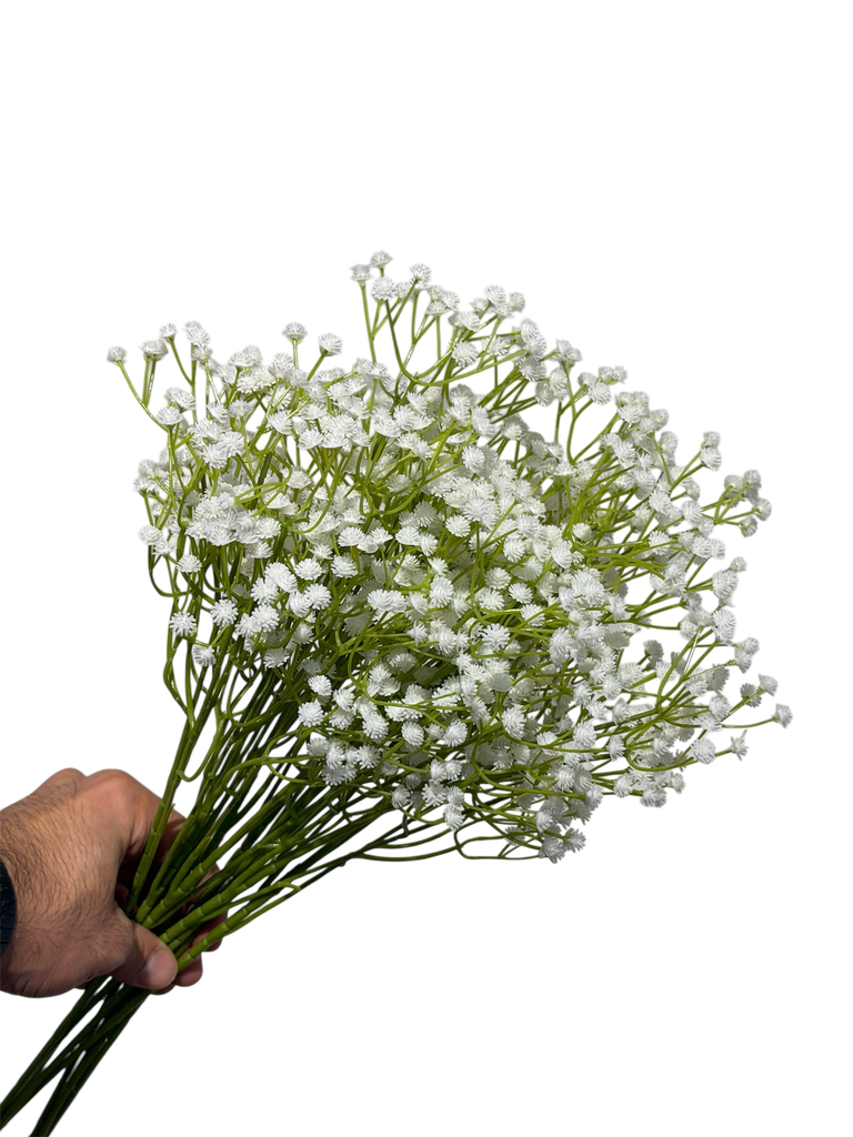 White Gypsophila