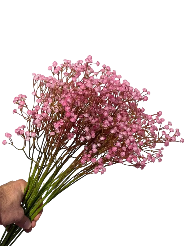 Pink Gypsophila