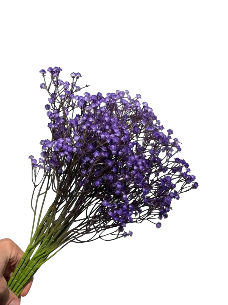 Purple Gypsophila