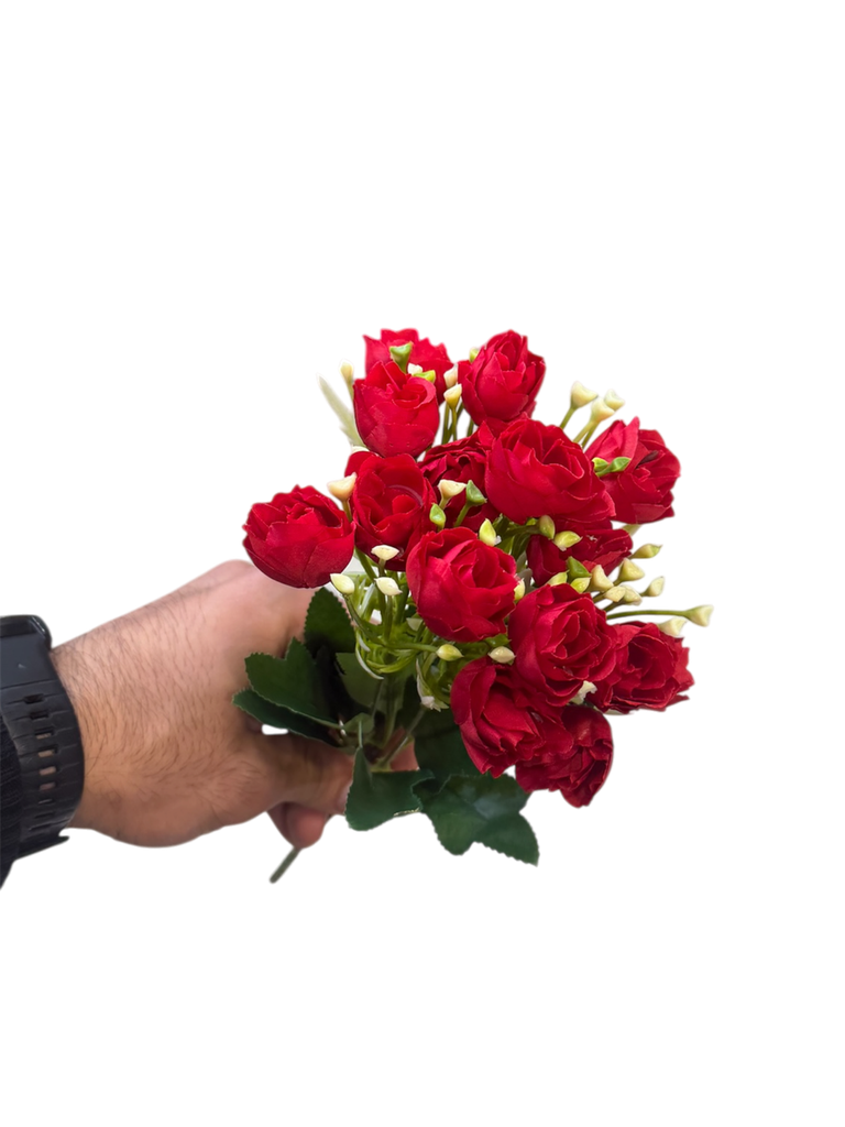 الفاونيا الحمراء الصغيرة