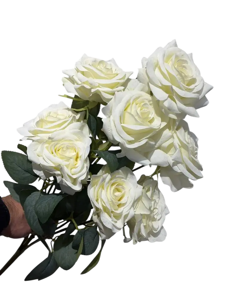 Large White Rose