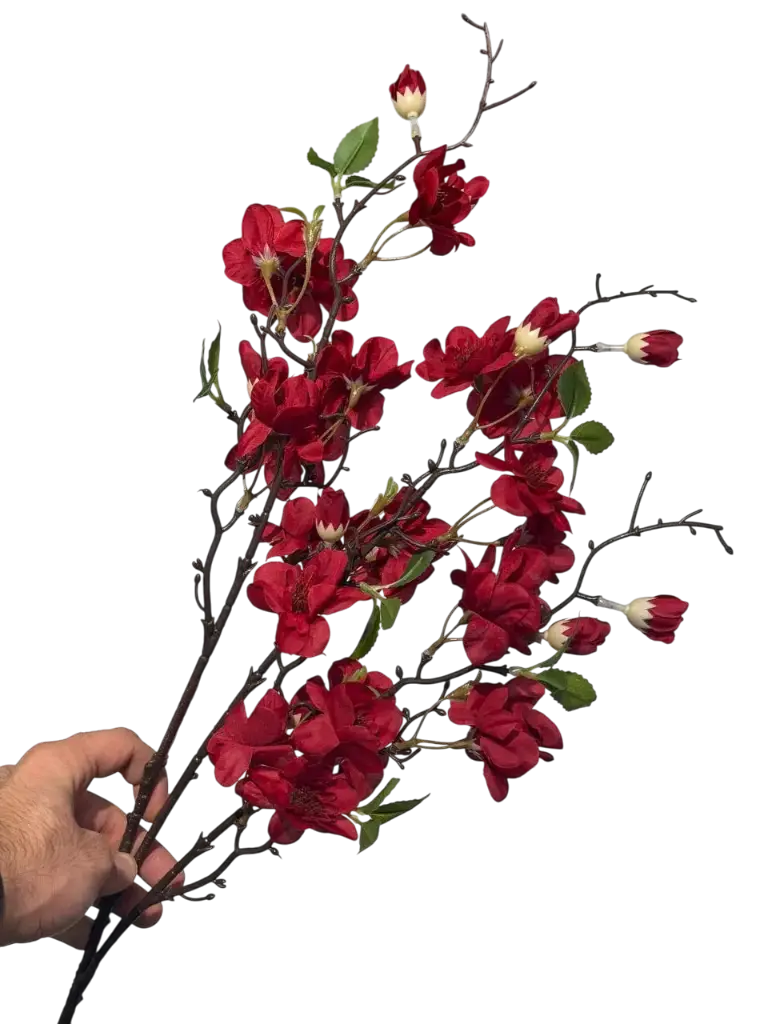 =_xlfn.TRANSLATE(C13,"en","ar")