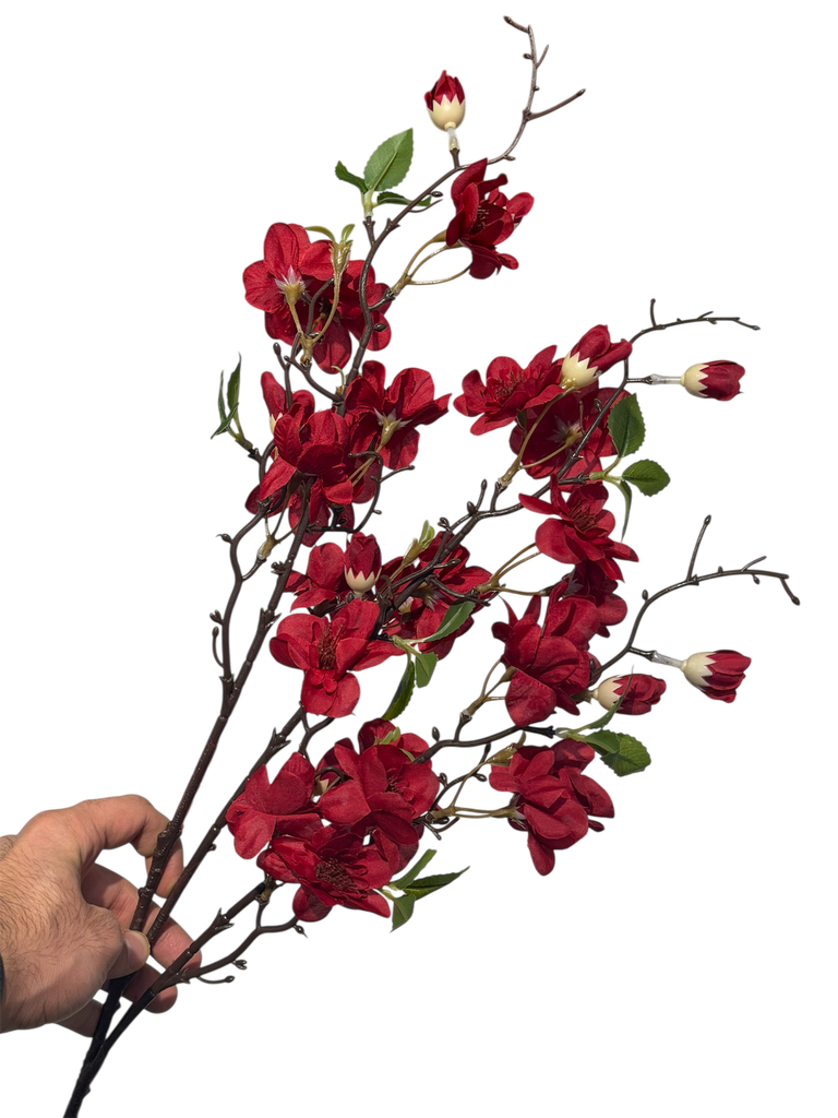 Red Cherry Blossom
