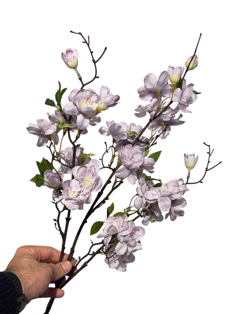 Purple Cherry Blossom