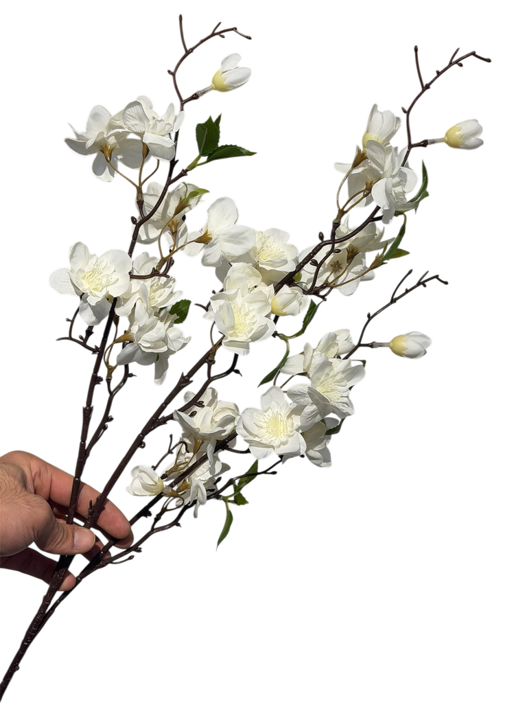 گوڵی گێلاسی ئۆفوایت