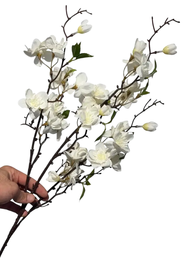 گوڵی گێلاسی ئۆفوایت