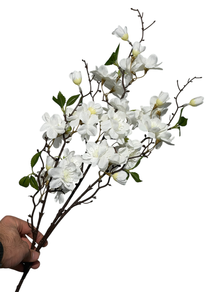 White Cherry Blossom
