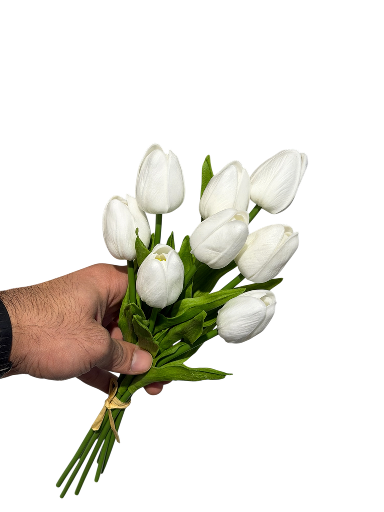 tulip