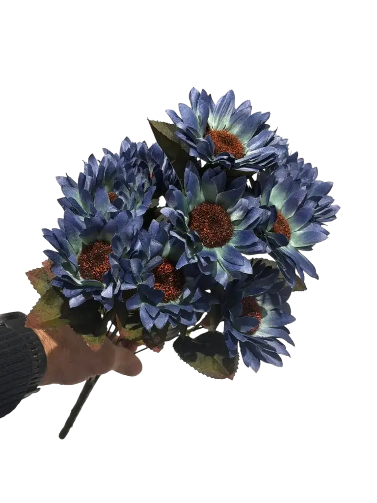 چەپکی گوڵەبەڕۆژە مۆر