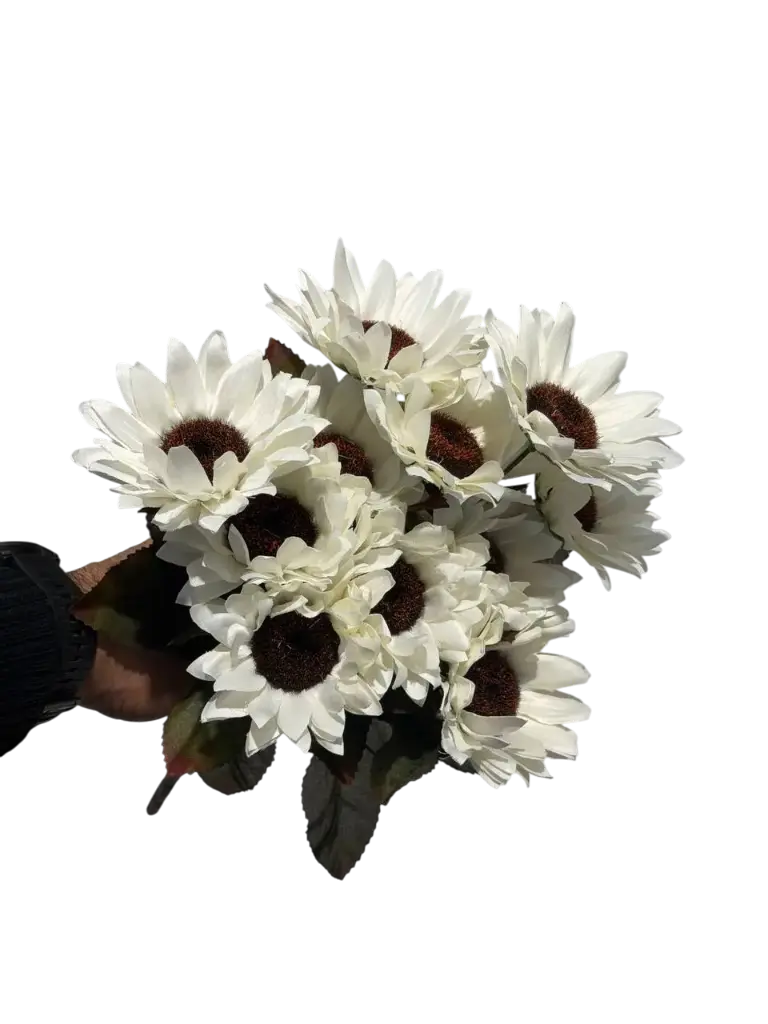 =_xlfn.TRANSLATE(C42,"en","ar")