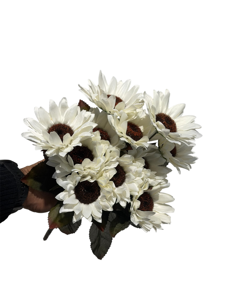 creamy sunflower