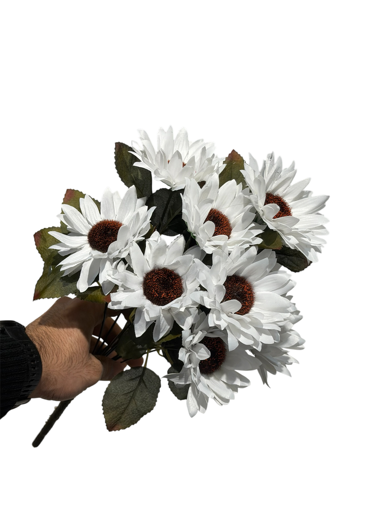 چەپکی گوڵەبەڕۆژە سپی