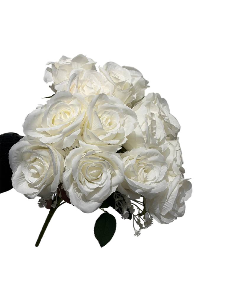 cream rose