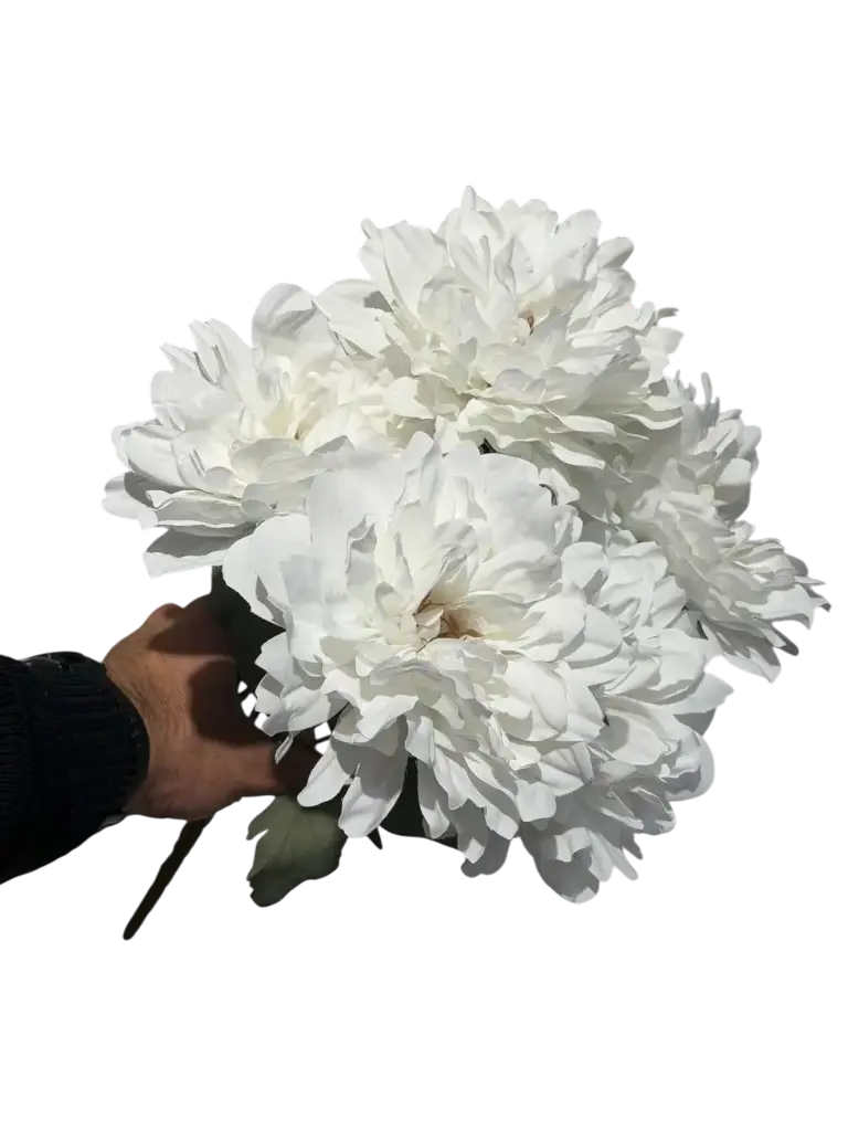 چەپکی جەربێرە سپی