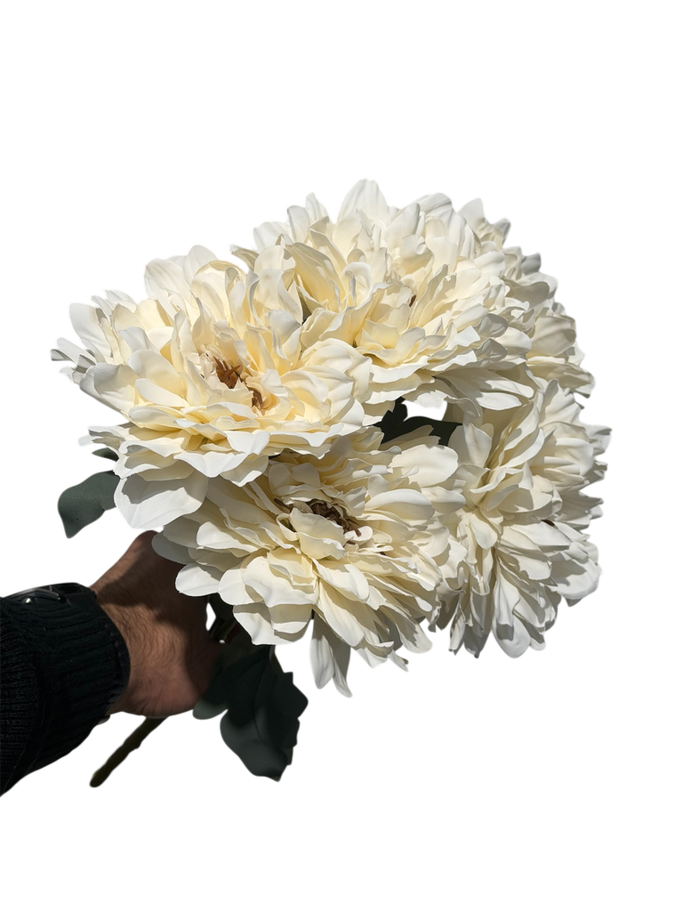 creamy gerbera flower