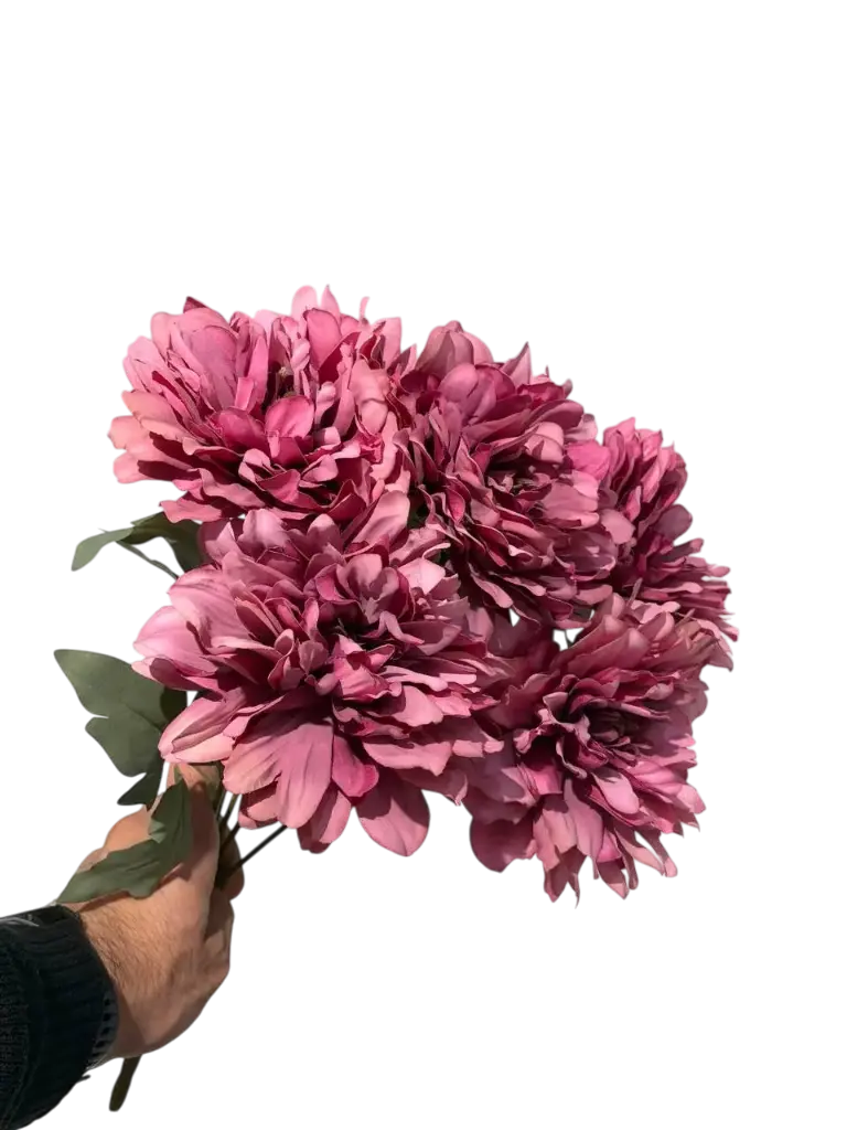 چەپکی جەربێرە هەناری