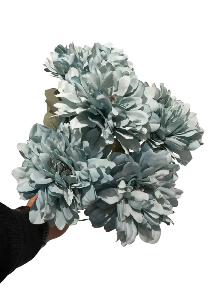 چەپکی جەربێرە فەیروزی