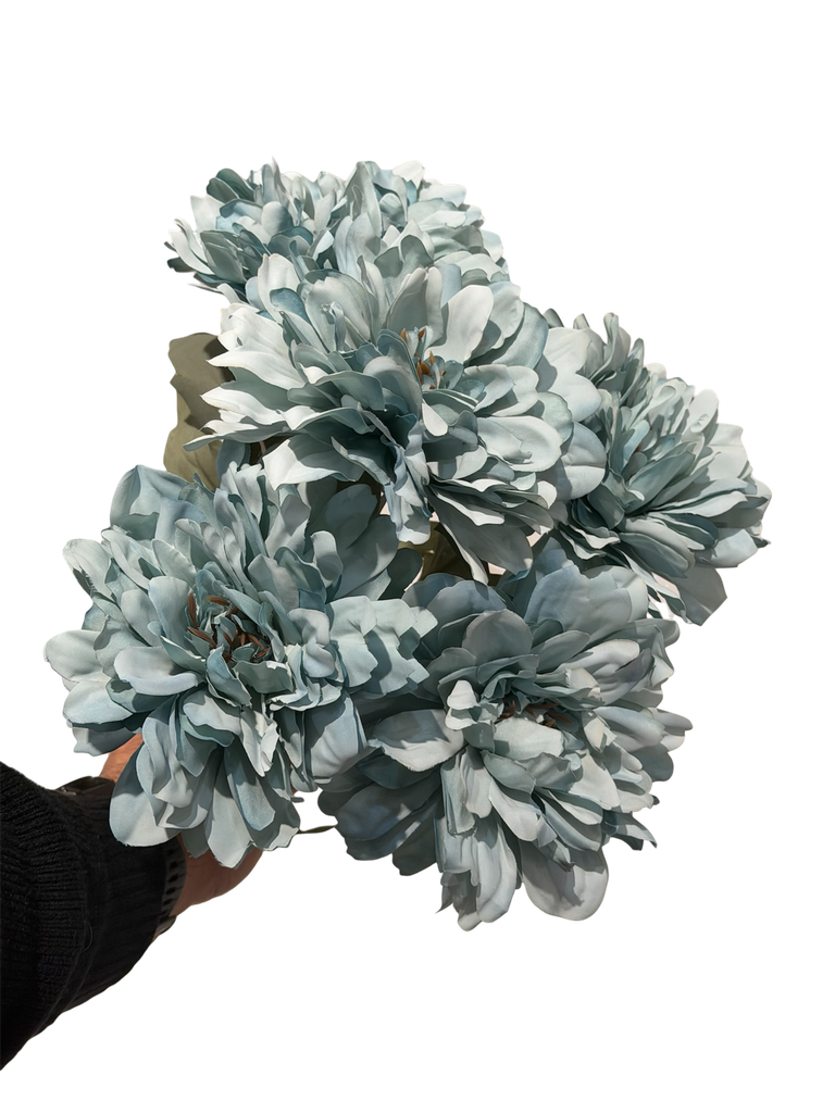 blue  gerbera flower