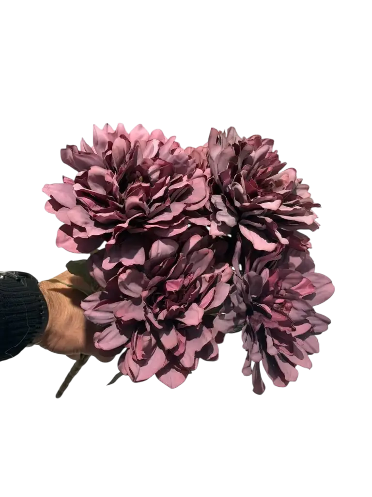 چەپکی جەربێرە جەرگی