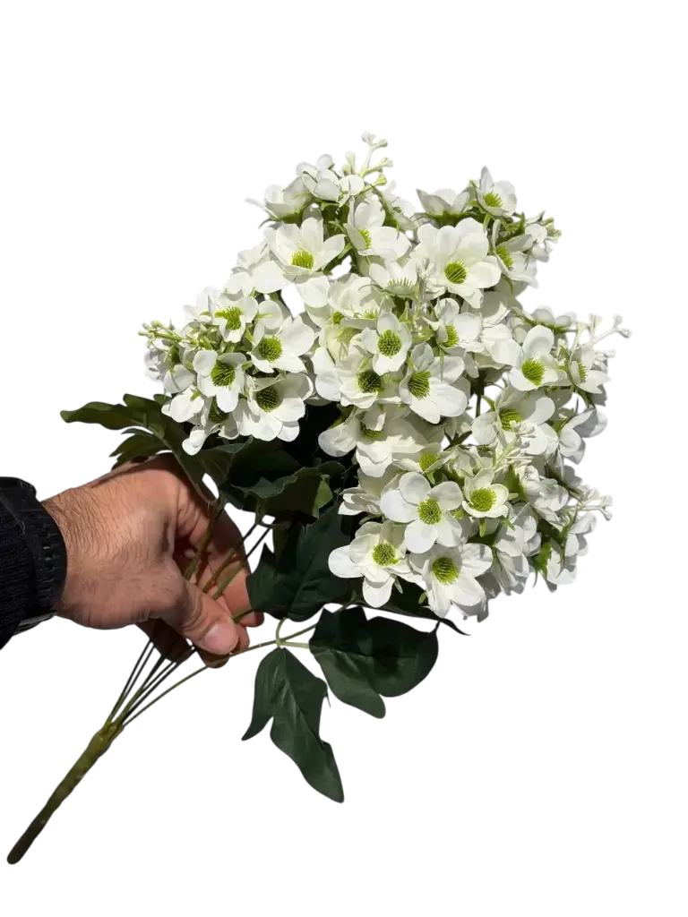 چەپکی بەیبون سپی