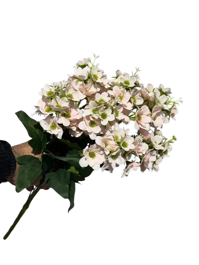 =_xlfn.TRANSLATE(C23,"en","ar")