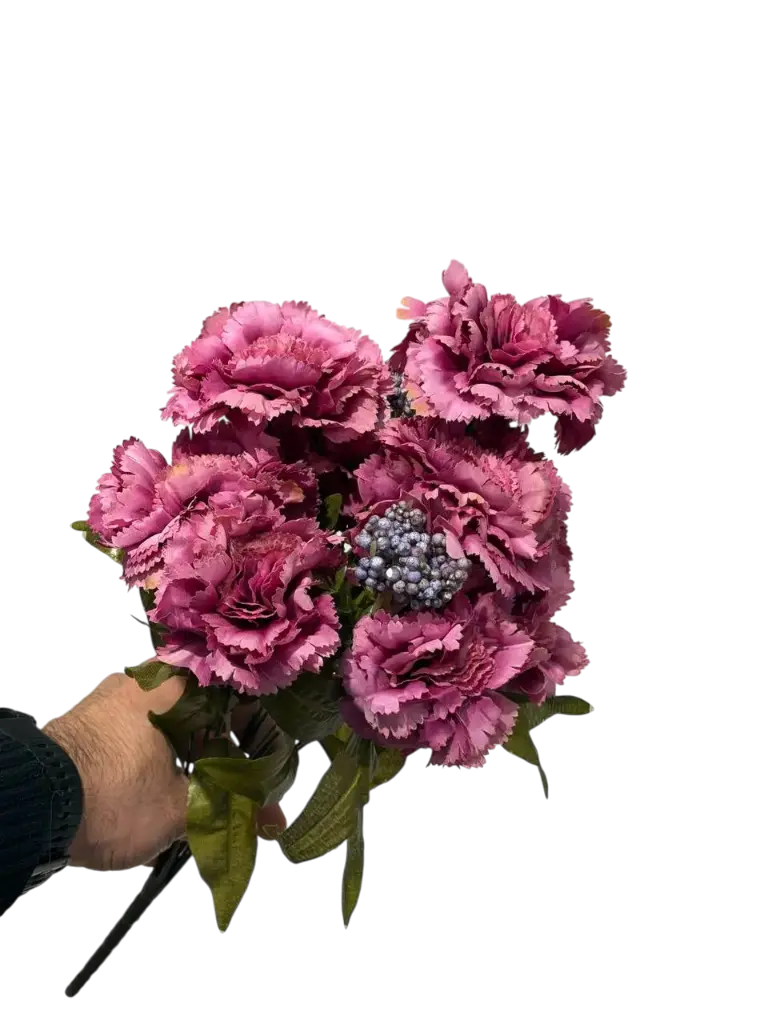 burgundy carnation flower