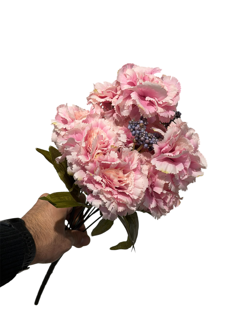 pink carnation flower