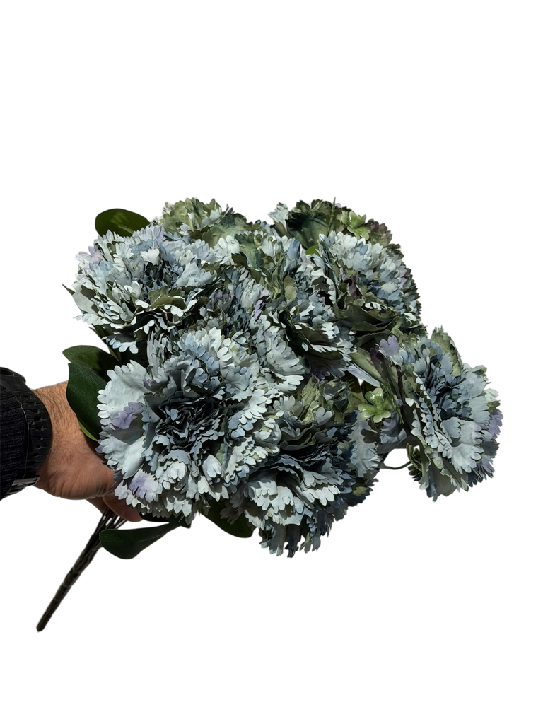 زهرة القرنفل الفیروزی