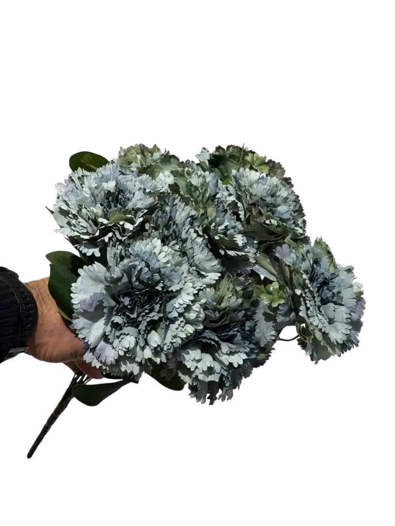 چەپکی قەنەفر فەیروزی