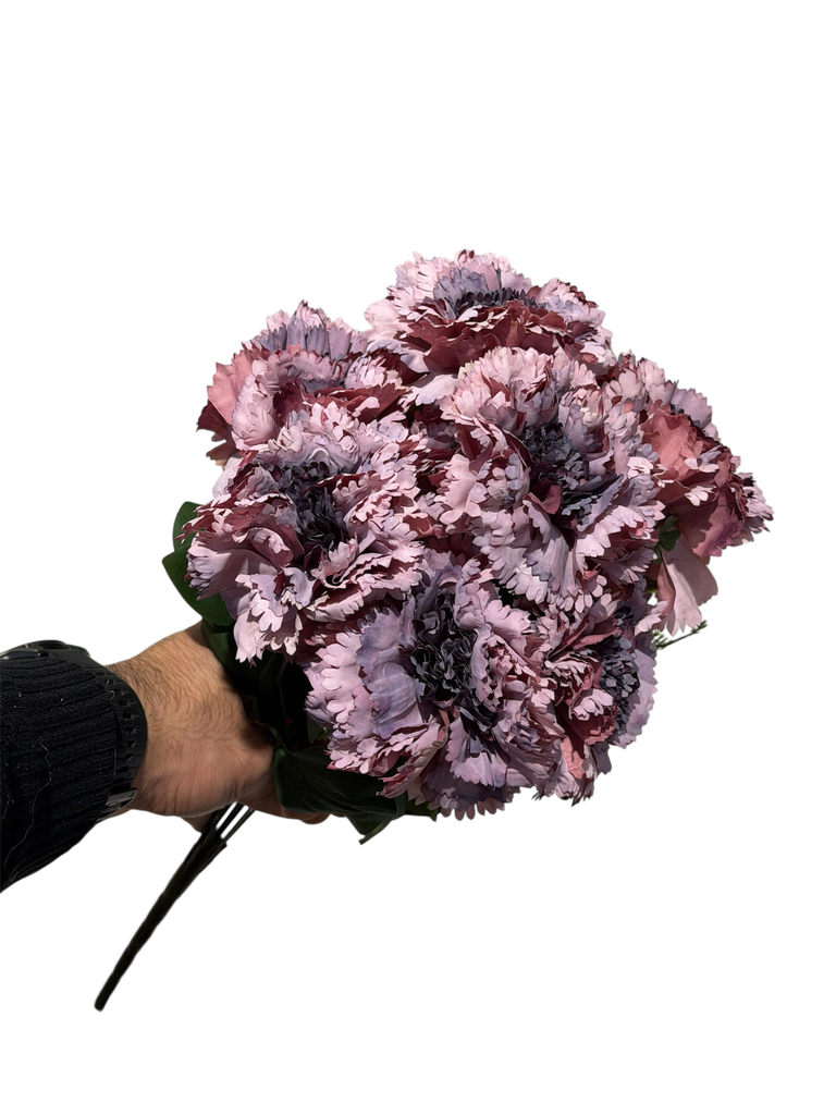 purple carnation flower