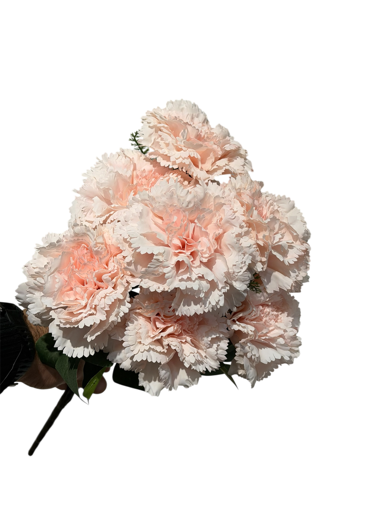 light pink carnation flower
