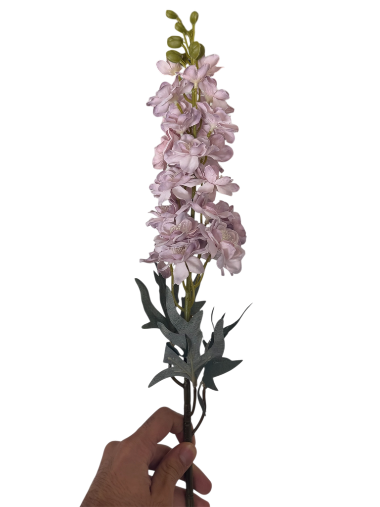 wisteria