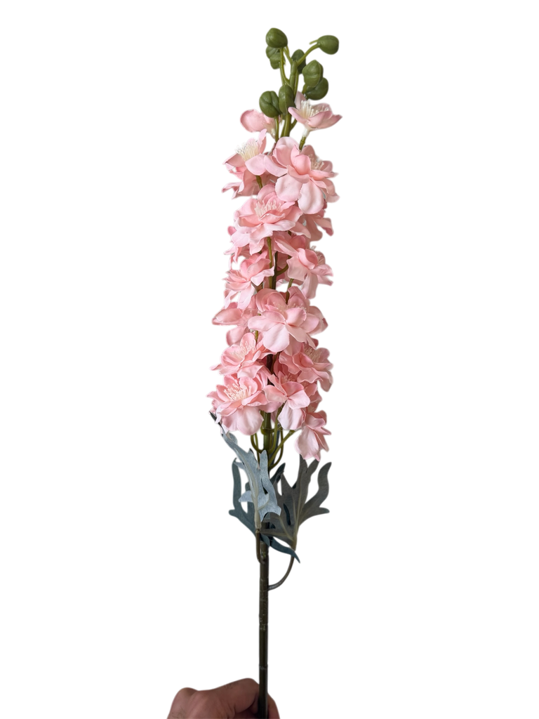 وێستریا پەمبە